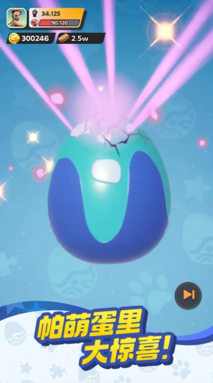 帕萌戰斗日記 帕萌戰斗日記