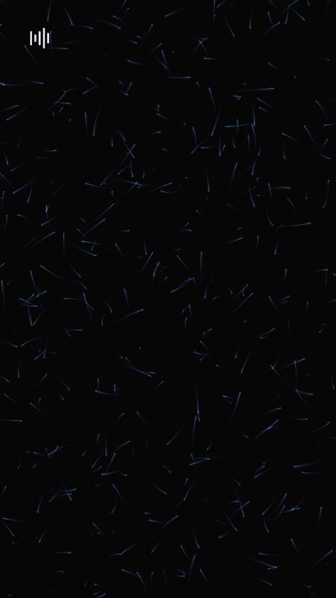 3a效果粒子(Triple A)