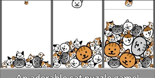 貓咪真的很爆爆 貓咪真的很爆爆