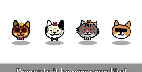 貓咪真的很爆爆 貓咪真的很爆爆