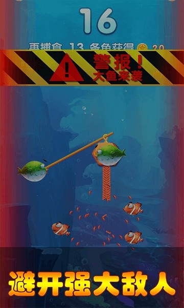 小魚進(jìn)化 小魚進(jìn)化