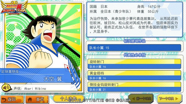 队长小翼最强十一人国际版