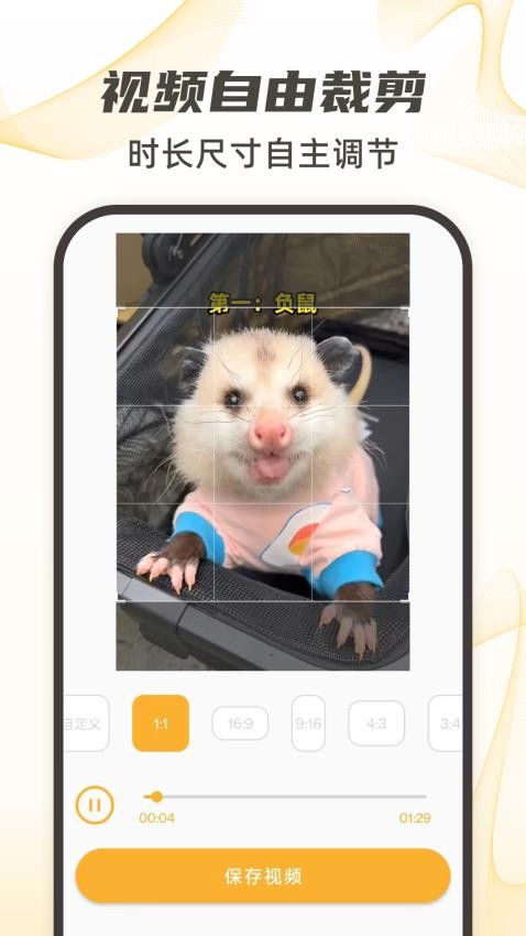 视频下载去水印 视频下载去水印