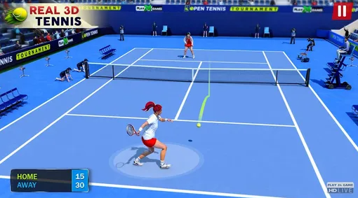 公开网球锦标赛(Open Tennis Tournament)