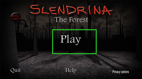 兰德里纳河的森林