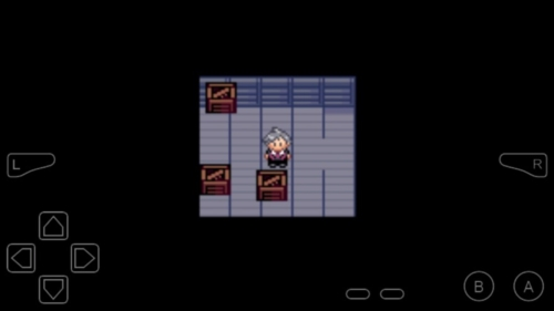 口袋妖怪冠军的旅程游戏截图3