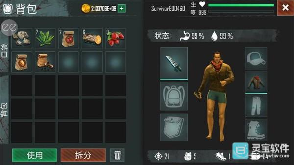 生或死生存中文版游戏玩法6