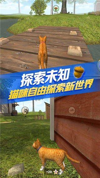 猫咪生存模拟器 猫咪生存模拟器