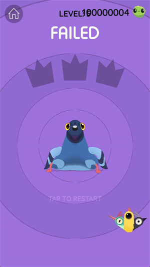 瘋狂的鴿子中文版