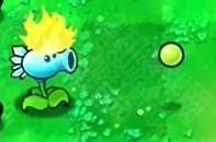 植物大戰僵尸喵版游戲玩法2