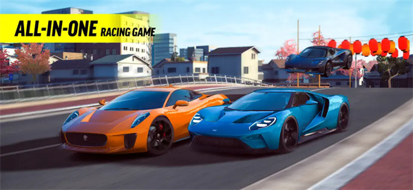 極限競(jìng)速專(zhuān)家手機(jī)版(Race Max Pro)