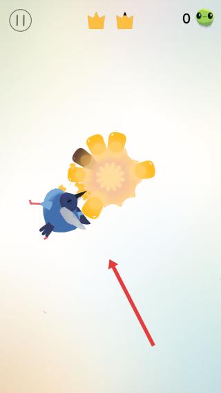 pigeon瘋狂的鴿子