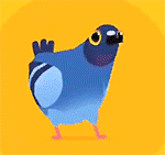 ������Ϸ(Pigeon)