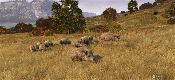 獵人之路狂野歐洲