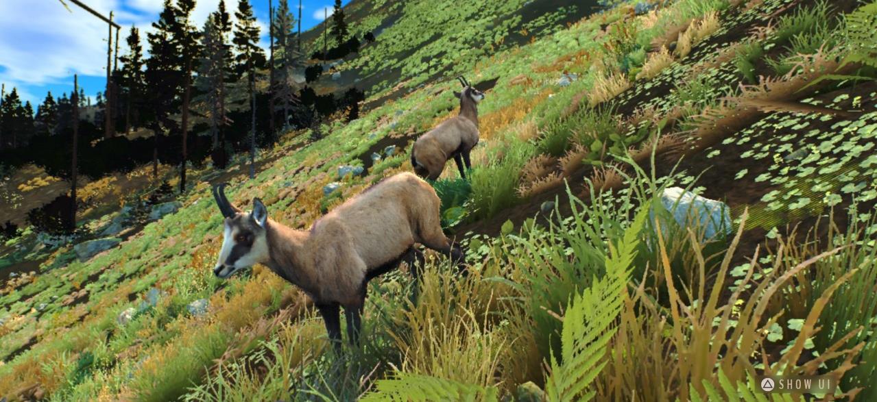 獵人之路狂野歐洲