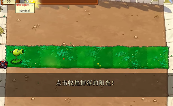 植物大戰僵尸吃不了席版 植物大戰僵尸吃不了席版