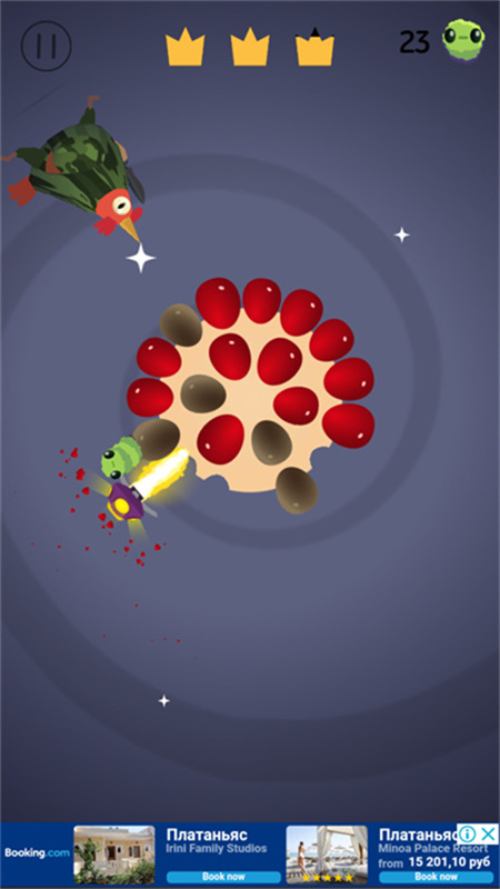 瘋狂的鴿子世界