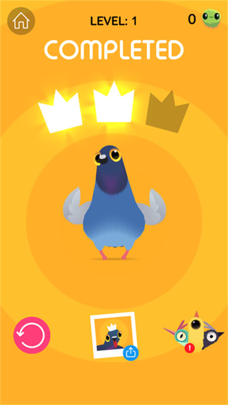 瘋狂的鴿子世界