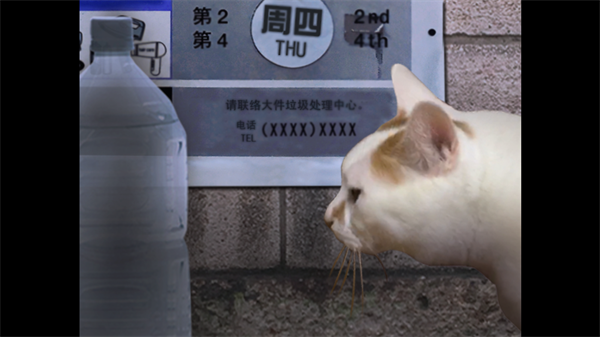 翌日貓之怪奇譚2