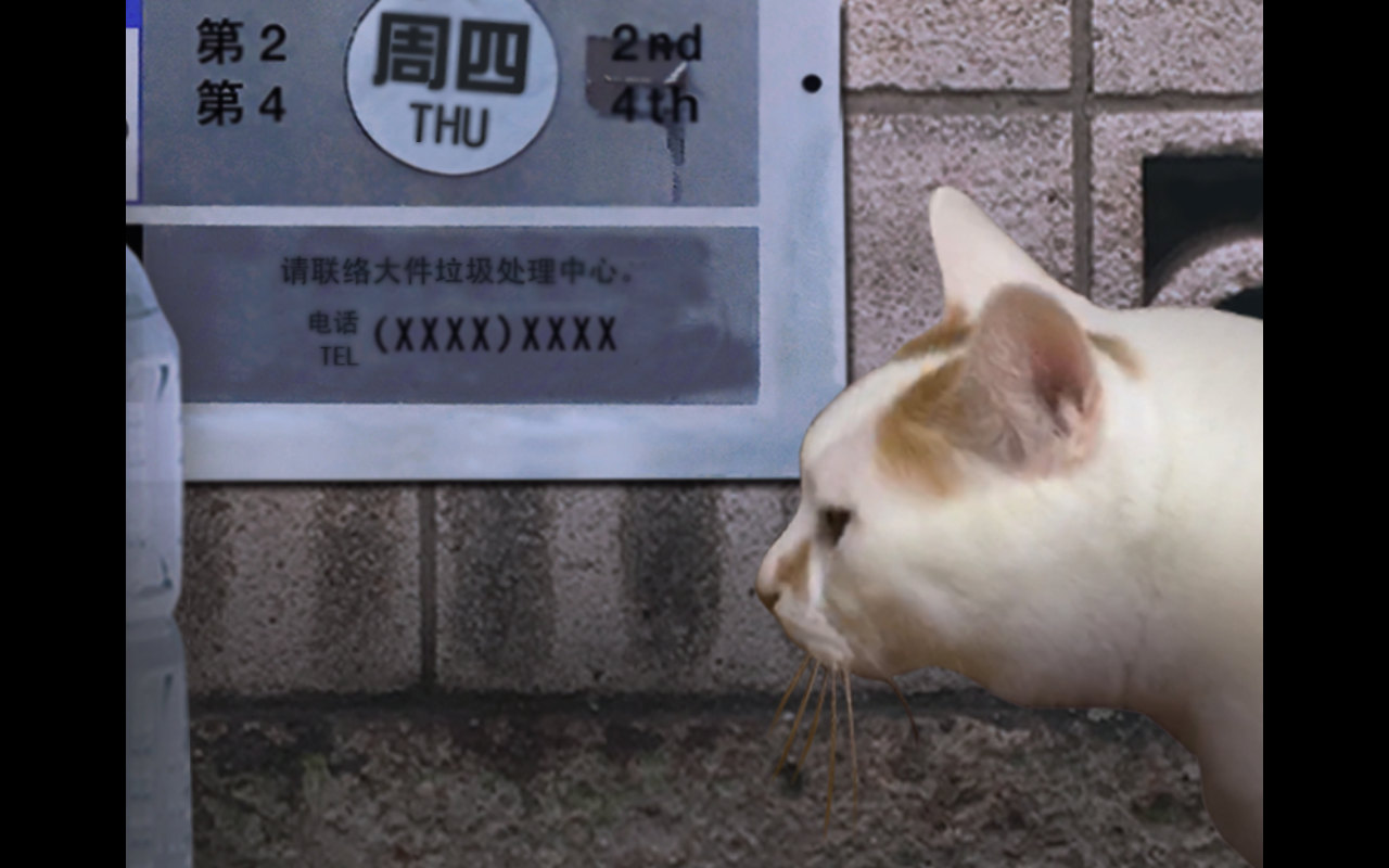 翌日貓之怪奇譚